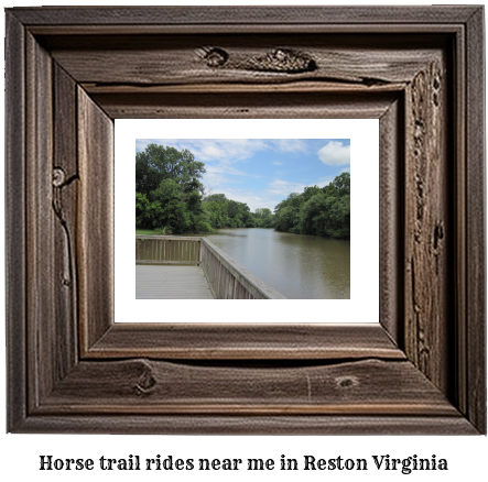 horse trail rides near me in Reston, Virginia